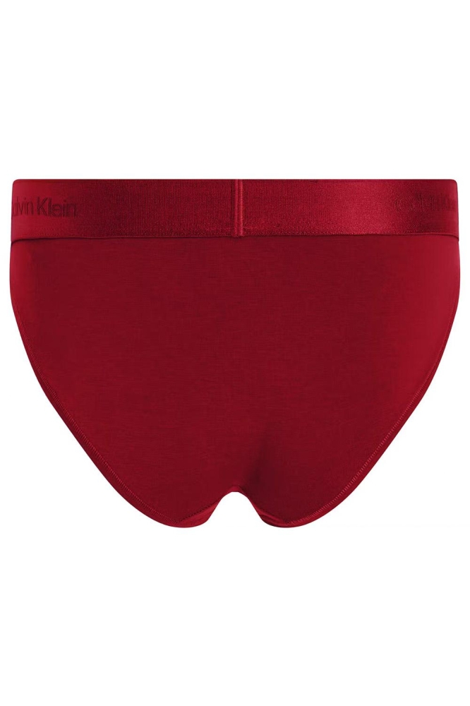 BIKINI 000QF7999E XLL JUNEBERRY